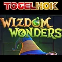 Wizdom Wonders